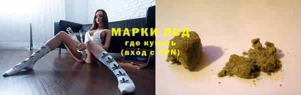 мдпв Тавда