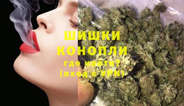дмт Сясьстрой