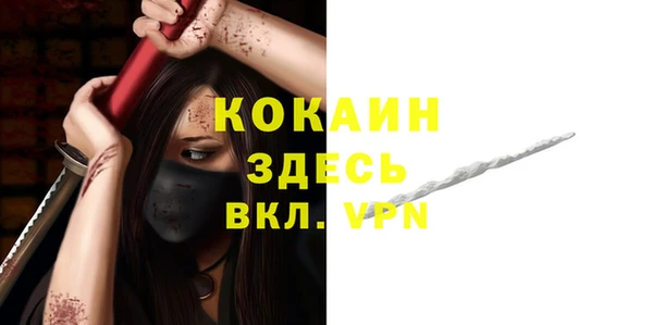 дмт Сясьстрой