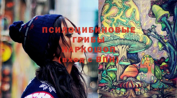 дмт Сясьстрой