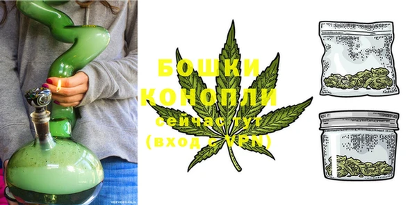 дмт Сясьстрой