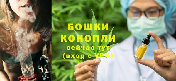 мдпв Тавда