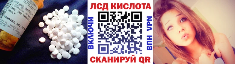Лсд 25 экстази ecstasy  Купить закладки  Оха 
