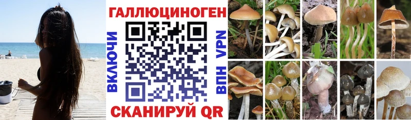 Галлюциногенные грибы Cubensis  Купить закладки  Оха 